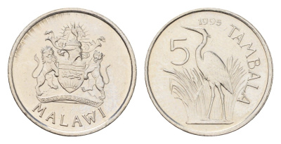 Малави 5 тамбал 1995 KM 32.1 сталь плакированная никелем UNC 4588-952