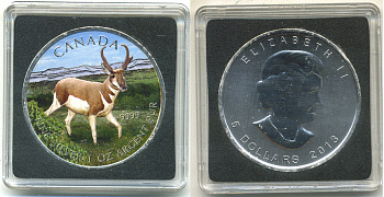 Канада 5 долларов 2013 серия Животный мир Канады, антилопа, в оригинальной коробке с сертификатом тираж 5000 экз., цветная эмаль серебро UNC 5-5-1-10