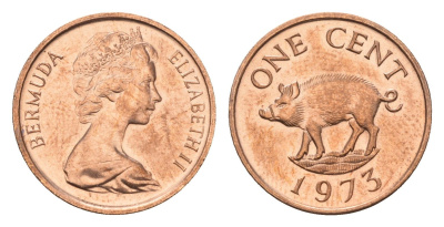 Бермудские острова (Бермуды) 1 цент 1973 KM 15 бронза 75-858