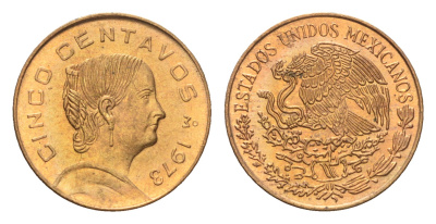 Мексика 5 сентаво 1973 Жозефа Ортис де Домингес KM 427 латунь  UNC  M73-09