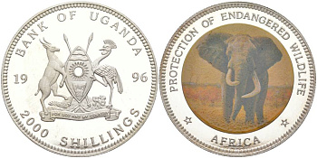 Уганда 2000 шиллингов 1996 серия сохраним наш мир, слон, цветная наклейка KM 65 серебро  PROOF  1091-3-53
