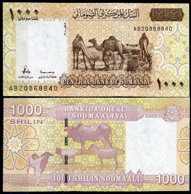Сомали 1000 шиллингов 2010 верблюды, овцы, буйвол, козы Pick 38  бумага  UNC (пресс) 7200-5-1
