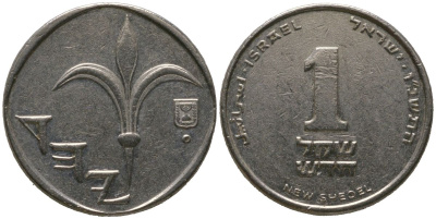 Израиль 1 новый шекель 1996 JE 5756 KM 160a сталь плакированная никелем 4573-441