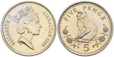 Гибралтар 5 пенсов 1989 АВ обезьяна KM 22 медно-никель UNC 87-625