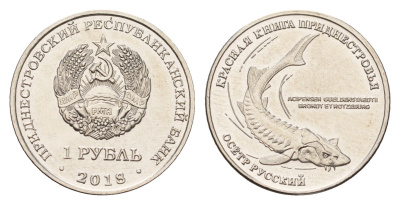 Приднестровье 1 рубль 2018 Красная книга - Русский осётр (Acipenser gueldenstaedtii) KM 303 сталь плакированная никелем UNC 4669-1124