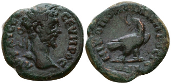 Римская Империя, Провинция Нижняя Мезия, Никополь-на-Истре AE 193 - 211 Септимий Север, бюст императора / орел Mionnet Supp II, 391 бронза 1100-8-36