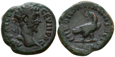 Римская Империя, Провинция Нижняя Мезия, Никополь-на-Истре AE 193 - 211 Септимий Север, бюст императора / орел Mionnet Supp II, 391 бронза 1100-8-36