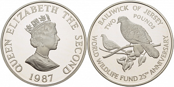 Джерси 2 фунта 1987 серия 25 лет защиты окружающей среды, голуби KM 70a серебро PROOF 04-136-21