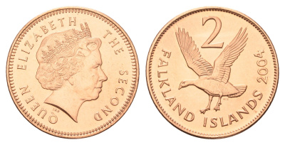 Фолклендские острова (Фолкленды) 2 пенса 2004 Елизавета II (1952-2022), магелланов гусь KM 131 сталь плакированная медью UNC 4666-411