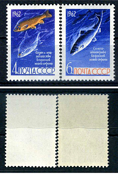 СССР набор из 2 марок (4 и 6 копейки) 1962 рыбы - сазан и лещ, семга Загорский 2645 и 2646    марка с оригинальным клеем, без следов наклейки (чистая) 8707-4-9-2