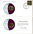Израиль 25 агорот 1978 конверт с маркой первого дня гашения, Coins of Nations KM 27 алюминиевая бронза UNC 4294-48-3