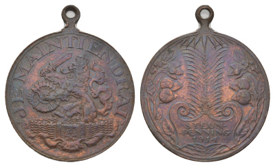 Нидерланды жетон для сбора средств в пользу жертв Первой мировой войны 1914 диаметр 29 мм, вес 11,4 гр Kooij DO062 бронза 3896-135