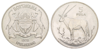 Ботсвана 5 пул 1978 Орикс KM 11 серебро BU 413-3423