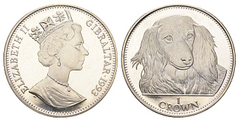 Гибралтар 1 крона 1993 Лучшие друзья человека (собаки) - Такса KM 192 медно-никель BU 1524-1545