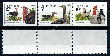 СССР набор из 3 марок (5, 10 и 15 копеек) 1990 Домашние птицы - гуси серые оброшинские.ю куры адлерские серебристые, индейки бронзовые северокавказские Загорский 6158, 6159 и 6160    марка с оригинальным клеем, без следов наклейки (чистая) 8707-5-3-2