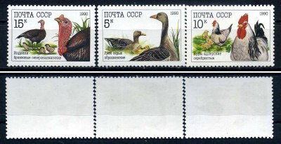 СССР набор из 3 марок (5, 10 и 15 копеек) 1990 Домашние птицы - гуси серые оброшинские.ю куры адлерские серебристые, индейки бронзовые северокавказские Загорский 6158, 6159 и 6160    марка с оригинальным клеем, без следов наклейки (чистая) 8707-5-3-2