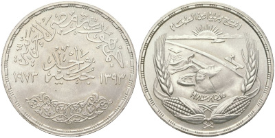 Египет 1 фунт 1973 ФАО - Асуанская Дамба KM 439 серебро UNC 1530-1043