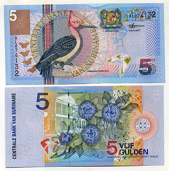 Суринам 5 гульденов 2000 птица Red-necked woodpecker, TDLR Pick 146 бумага UNC (пресс) 445-55-3