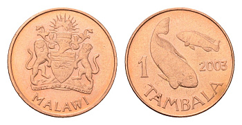 Малави 1 тамбала 2003 KM 33a сталь плакированная медью UNC 4588-953