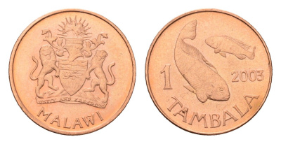 Малави 1 тамбала 2003 KM 33a сталь плакированная медью UNC 4588-953