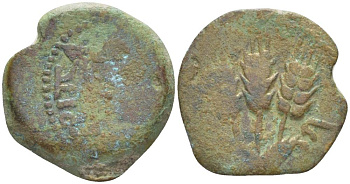 Иудея, династия Ирода прута 41/42 год Агриппа I, греческая легенда 'царь Агриппа', зонт / три хлебных колоса, дата (6-й год правления), Иерусалим Hendin 1244 медь 1073-21-52