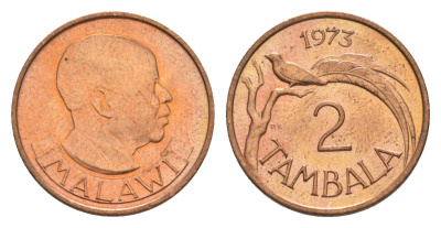 Малави 2 тамбала 1973 райская вдовушка (птица) KM 8.1 бронза  aUNC  4640-858