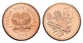 Папуа - Новая Гвинея 2 тойя 2004 KM 2 бронза UNC 4614-656