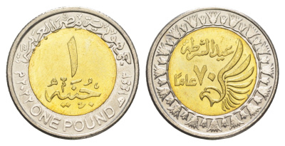 Египет 1 фунт 2021 69 лет полиции KM 1071 биметалл UNC 4652-1244