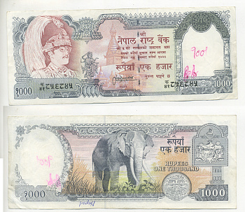 НЕПАЛ 1000 РУПИЙ 1995-2000 ПОДПИСЬ 13 Pick 36d бумага 7221-70-1