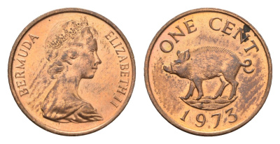 Бермудские острова (Бермуды) 1 цент 1973 KM 15 бронза 4669-1155