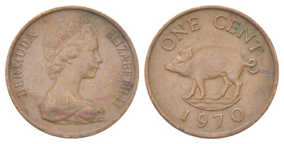 Бермудские острова (Бермуды) 1 цент 1970 KM 15 бронза 4627-841