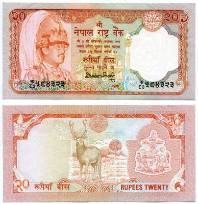 Непал 20 рупий 1990-1995 подпись 12 Pick 38а(2) бумага XF 2119-39-2-2