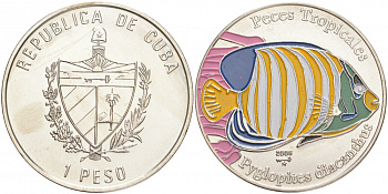 Куба 1 песо 2005 серия тропические рыбы, королевский ангел (Pygoplites diacanthus), цветная эмаль KM 866 никелированная сталь UNC M27-10