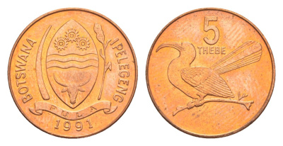 Ботсвана 5 тхебе 1991 Дамарская красноклювая птица-носорог KM 4a сталь плакированная медью UNC 39-1065