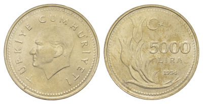Турция 5000 лир 1994 Кемаль Ататюрк KM 1025 медь цинк никель UNC 4648-855