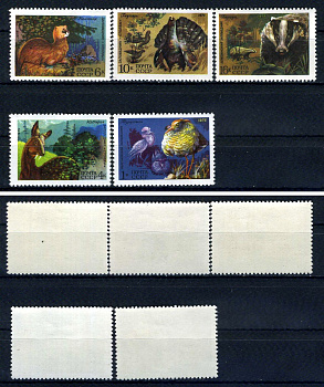 СССР набор из 5 марок (1, 4, 6, 10 и 16 копеек) 1975 Фауна СССР - Турухтан, кабарга, колонок, глухарь, барсук Загорский 4445, 4446, 4447, 4448 и 4449    марка с оригинальным клеем, без следов наклейки (чистая) 8707-4-8-2