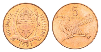 Ботсвана 5 тхебе 1991 Дамарская красноклювая птица-носорог KM 4a сталь плакированная медью UNC 39-1054