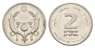 Израиль 2 новых шекеля 2009 JE 5769 KM 433 сталь плакированная никелем 4632-143