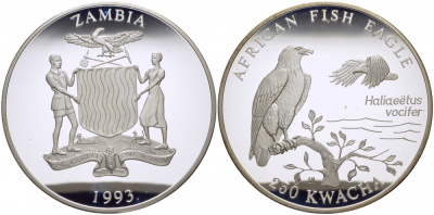 Замбия 250 квача 1993 Африканский рыбный орел, тираж 5000 экземпляров KM 34 серебро PROOF 11-097-12-1