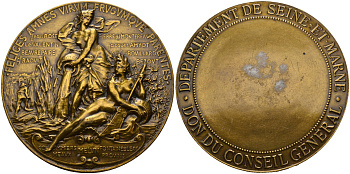Франция медаль ND от Департамента Сена и Марна, в лаке, диаметр 63,5 мм. бронза 1082-10-23
