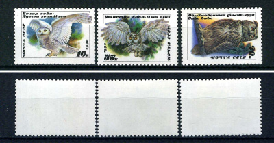 СССР набор из 3 марок (10, 20 и 35 копеек) 1990 совы - белая сова, обыкновенный филин, ушастая сова Загорский 6119, 6120 и 6121    марка с оригинальным клеем, без следов наклейки (чистая) 8707-4-5-3