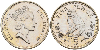 Гибралтар 5 пенсов 1989 АВ обезьяна KM 22 медно-никель UNC 87-534