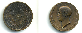 Нидерланды медаль 1927 118 лет принцессе Юлиане бронза 1072-1-32