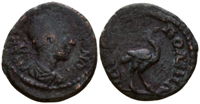 Римская Империя, Провинция Фракия, Адрианополь AE 238 - 244 Гордиан III, бюст императора / страус Jurukova, Hadrianopolis 676 бронза 1100-8-47