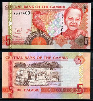 Гамбия 5 даласи ND (2006-2014) Гигантский пегий зимородок, девочка Pick 25 c бумага UNC (пресс) 7486-8-2-1