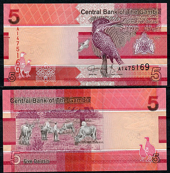 Гамбия 5 даласи 2019 гигантский зимородок, коровы Pick 37 бумага  UNC (пресс) 7201-5-1