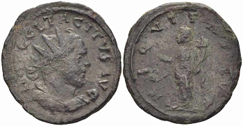 Римская Империя аврелианиан 275 Тацит AEQVITAS AVG Лугдун Very fine RIC 14 бронза 1073-16-116