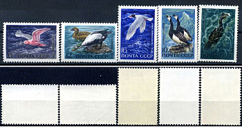 СССР набор из 5 марок (4, 6, 10, 12 и 16 копеек) 1972 Пернатые - обитатели побережий морей и океанов - Хохлатый баклан, розовая чайка, белощекая казарка, очковая гага, черноголовая чайка Загорский 3974, 3975, 3976, 3977, 3978    марка с оригинальным клеем