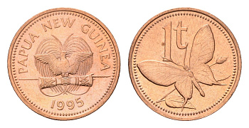 Папуа - Новая Гвинея 1 тойя 1995 KM 1 бронза UNC 4614-664