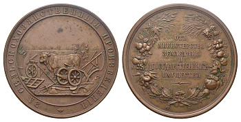 Россия медаль 1894-1902 3а сельскохозяйственные произведения. От Министерства земледелия и государственных имуществ Дьяков 1157.2 бронза   10-004-21